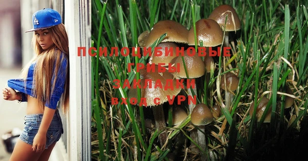 ГАЛЛЮЦИНОГЕННЫЕ ГРИБЫ Абаза