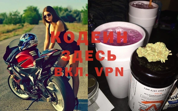 ГАЛЛЮЦИНОГЕННЫЕ ГРИБЫ Абаза