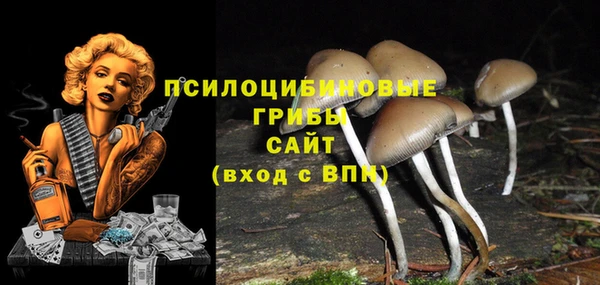 трава Абдулино