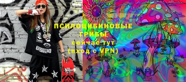 ПСИЛОЦИБИНОВЫЕ ГРИБЫ Абинск